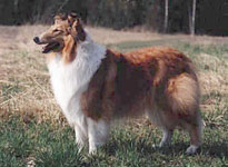 Ritu 5 v